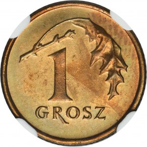 1 grosz 1990 - NGC MS66