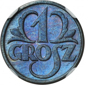 1 grosz 1931 - NGC MS65 BN