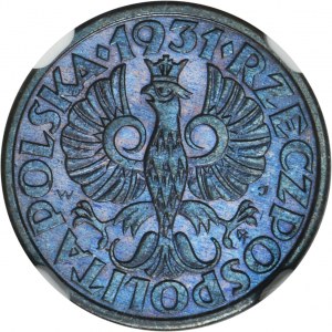 1 grosz 1931 - NGC MS65 BN