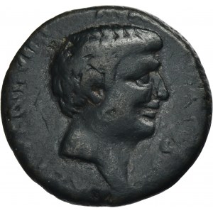 Roman Provincial, Syria, Mark Antony, AE - RARE, ex. Richard Falkiner Collection