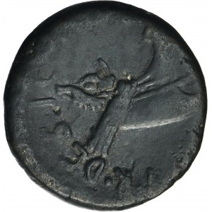 Roman Provincial, Syria, Mark Antony, AE - RARE, ex. Richard Falkiner Collection