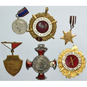 Set of decorations and miniatures (6 pcs.)