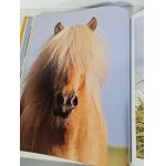 BOISELLE NAJPIĘKNIEJSZE KONIE ŚWIATA THE WORLD'S MOST BEAUTIFUL HORSES