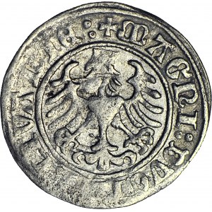 Zygmunt I Stary, Półgrosz 1509, Wilno, podwójne kółka po dacie