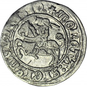Zygmunt I Stary, Półgrosz 1510, Wilno, kółko po dacie