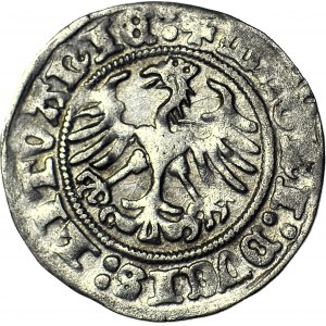Zygmunt I Stary, Półgrosz 1511, Wilno, kropka po dacie