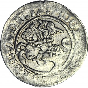 Zygmunt I Stary, Półgrosz 1512, Wilno, dwukropek po dacie