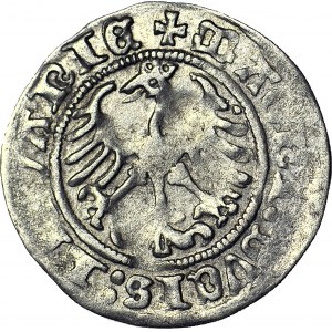 Zygmunt I Stary, Półgrosz 1513, Wilno