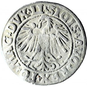 Zygmunt II August, Półgrosz 1547, Wilno