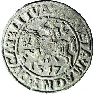 Sigismund II. Augustus, Halbpfennig 1547, Wilna