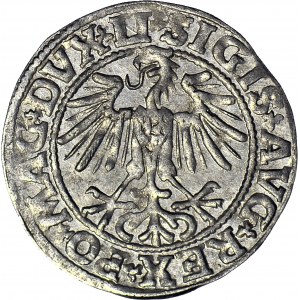 Sigismund II. Augustus, Halbpfennig 1549, Wilna, geprägt