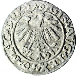 Zygmunt II August, Półgrosz 1559, Wilno, LITV/L