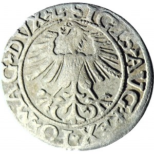Zygmunt II August, Półgrosz 1561, Wilno L/LITV