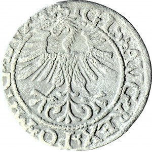 Zygmunt II August, Półgrosz 1561, Wilno L/LITV