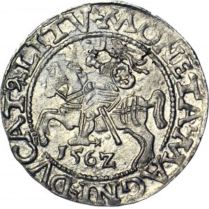 Zygmunt II August, Półgrosz 1562, Wilno L/LITV, piękny