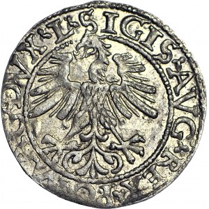 Zygmunt II August, Półgrosz 1562, Wilno L/LITV, piękny
