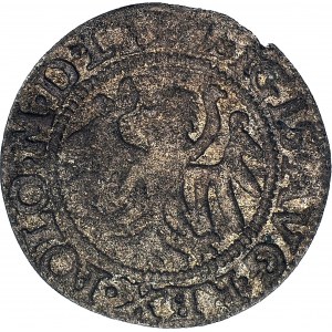 RR-. Sigismund II Augustus, Shelag 1551 Danzig.