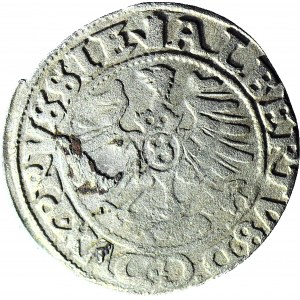 Lenne Prusy Książęce, Albrecht Hohenzollern, Szeląg 1558, Królewiec