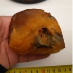 Natural Baltic Amber 152 gr.
