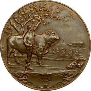 Austria Medal 1934 The Progress. N. Ö. Land Chamber of Agriculture. Bronze. Weight approx: 58.49 g. Diameter: 55 mm...