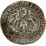 Germany Prussia 1 Grosz 1542 Albrecht (1525-1569). Obverse: Bust right in circle...