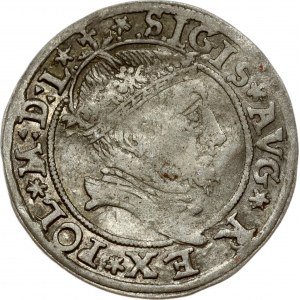Lithuania 1 Grosz 1545 Vilnius. Sigismund II Augustus (1545-1572). Obverse: Crowned bust facing right. Reverse...