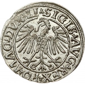 Lithuania 1/2 Grosz 1547 Vilnius. Sigismund II Augustus (1545-1572). Obverse: Eagle. Lettering...