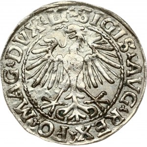 Lithuania 1/2 Grosz 1548 Vilnius. Sigismund II Augustus (1545-1572). Obverse: Eagle. Lettering...