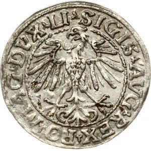 Lithuania 1/2 Grosz 1548 Vilnius. Sigismund II Augustus (1545-1572). Obverse: Eagle. Lettering...