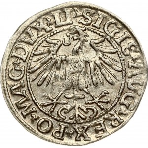 Lithuania 1/2 Grosz 1549 Vilnius. Sigismund II Augustus (1545-1572). Obverse: Eagle. Lettering...