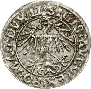 Lithuania 1/2 Grosz 1549/8 Vilnius. Sigismund II Augustus (1545-1572). Obverse: Eagle. Lettering...