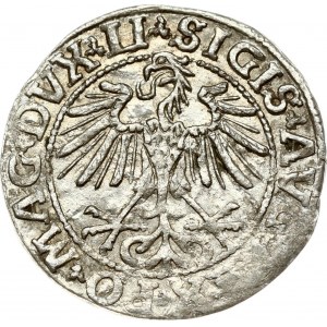 Lithuania 1/2 Grosz 1550 Vilnius. Sigismund II Augustus (1545-1572). Obverse: Eagle. Lettering...