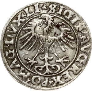 Lithuania 1/2 Grosz 1555 Vilnius. Sigismund II Augustus (1545-1572). Obverse: Eagle. Lettering...
