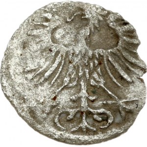 Lithuania 1 Denar 1556 Vilnius. Sigismund II Augustus(1547-1572) Obverse: Eagle. Reverse: King on charging horse...