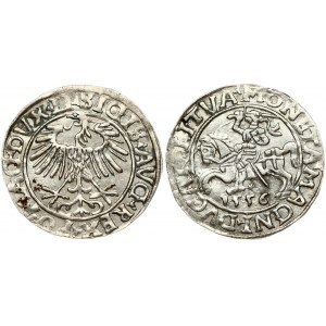 Lithuania 1/2 Grosz 1556 Vilnius. Sigismund II Augustus (1545-1572). Obverse: Eagle. Lettering...
