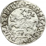 Lithuania 1/2 Grosz 1556 Vilnius. Sigismund II Augustus (1545-1572). Obverse: Eagle. Lettering...