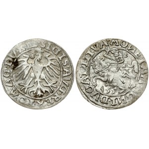 Lithuania 1/2 Grosz 1557 Vilnius. Sigismund II Augustus (1545-1572). Obverse: Eagle. Lettering...