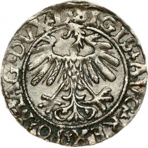 Lithuania 1/2 Grosz 1558 Vilnius. Sigismund II Augustus (1545-1572). Obverse: Eagle. Lettering...