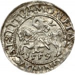 Lithuania 1/2 Grosz 1559 Vilnius. Sigismund II Augustus (1545-1572). Obverse: Eagle. Lettering...