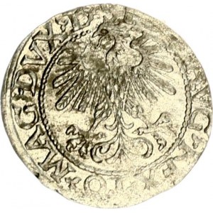 Lithuania 1/2 Grosz 1560 Vilnius. Sigismund II Augustus (1545-1572). Obverse Lettering: SIGIS AVG REX PO MAG DVX L...
