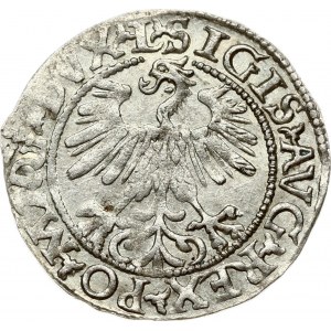 Lithuania 1/2 Grosz 1560 Vilnius. Sigismund II Augustus (1545-1572). Obverse: Eagle. Lettering...