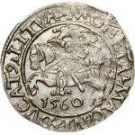 Lithuania 1/2 Grosz 1560 Vilnius. Sigismund II Augustus (1545-1572). Obverse: Eagle. Lettering...