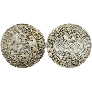 Lithuania 1/2 Grosz 1561 Vilnius. Sigismund II Augustus (1545-1572). Obverse: Eagle. Lettering...