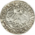 Lithuania 1/2 Grosz 1561 Vilnius. Sigismund II Augustus (1545-1572). Obverse: Eagle. Lettering...