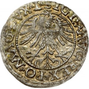Lithuania 1/2 Grosz 1563 Vilnius. Sigismund II Augustus (1545-1572). Obverse: Eagle. Lettering: SIGIS AVG REX PO MAG DVX