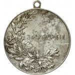 Russia Medal (1895) 'For Zeal' with a portrait of Emperor Nicholas II. St. Petersburg Mint 1895-1915 Medalist A.F...