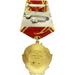 Russia USSR Order of Lenin (20th Century). Irregular gold oval with hammer and sickle. Obverse...