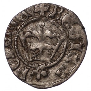 Jan I Olbracht 1492-1501, półgrosz koronny, Kraków