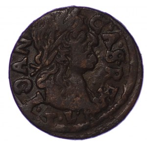 Jan II Kazimierz, Szeląg litewski 1666, Brześć