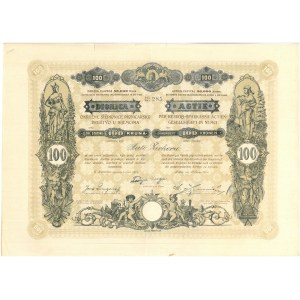Słowenia, Ackja na 100 koron 1901 - ciekawa szata graficzna